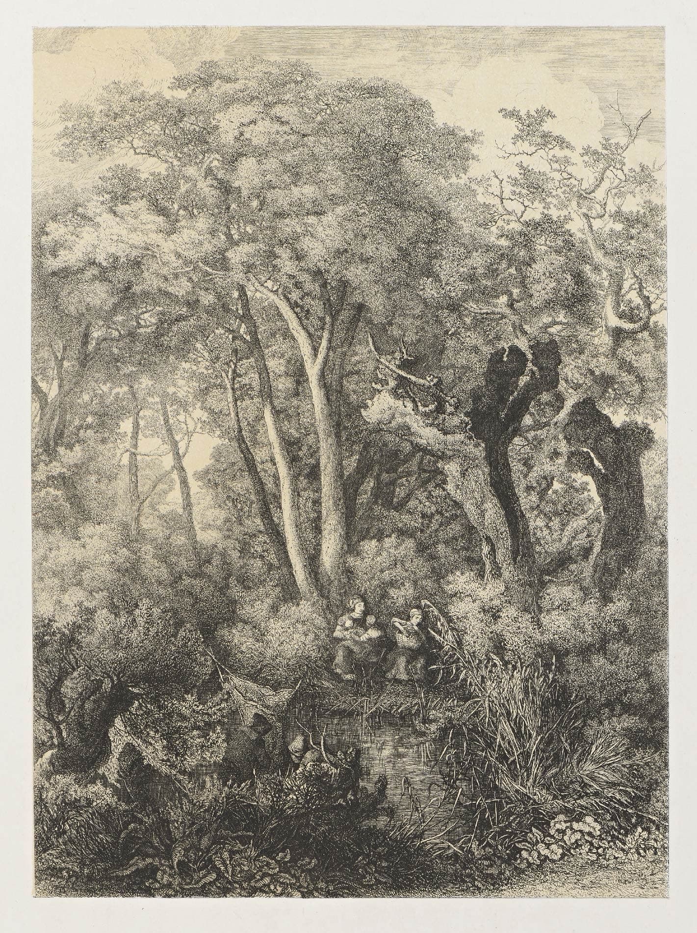 Famille de pêcheurs au bord d’un ruisseau