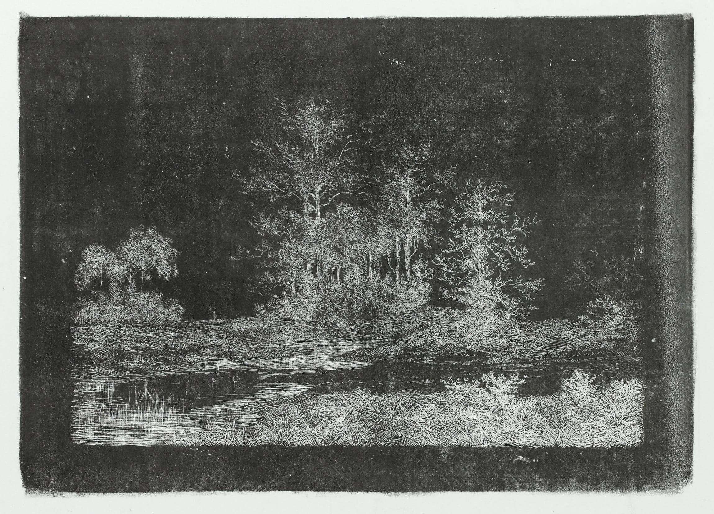 Bords de rivière avec arbres