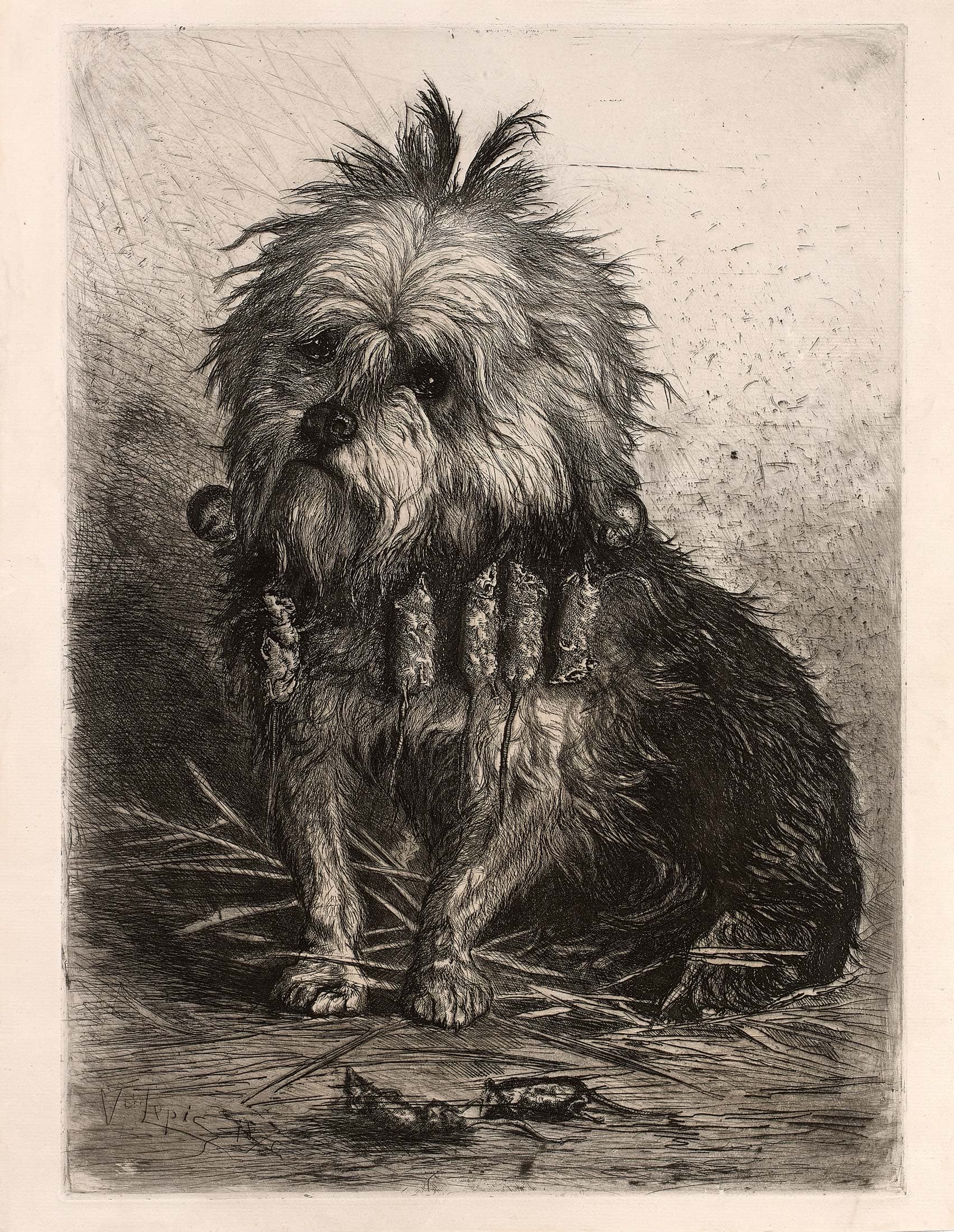 LEPIC Ludovic Napoléon Comte — Griffon d’Ecosse portant sa chasse dans ses poils