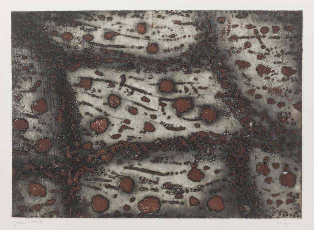 Music – Terres d’Istrie