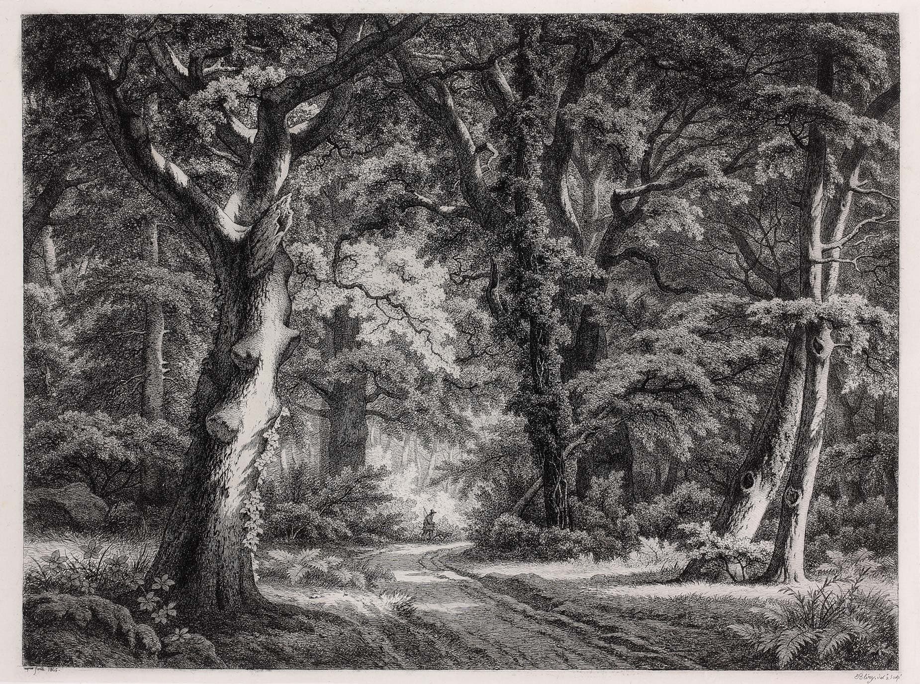 Intérieur de forêt au Bas-Bréau, Fontainebleau