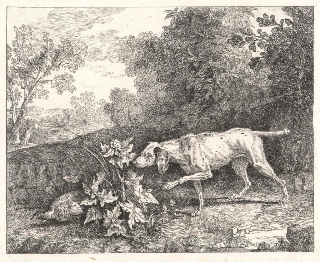 Oudry – Le chien braque en arrêt