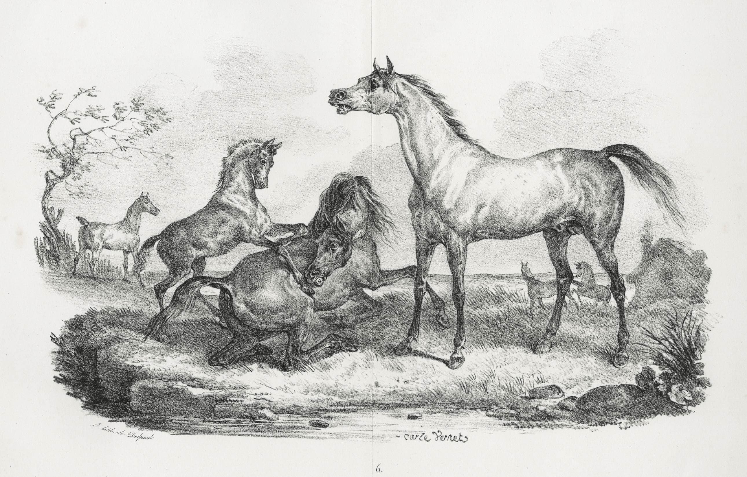 Étalon, jument et poulain dans un pré