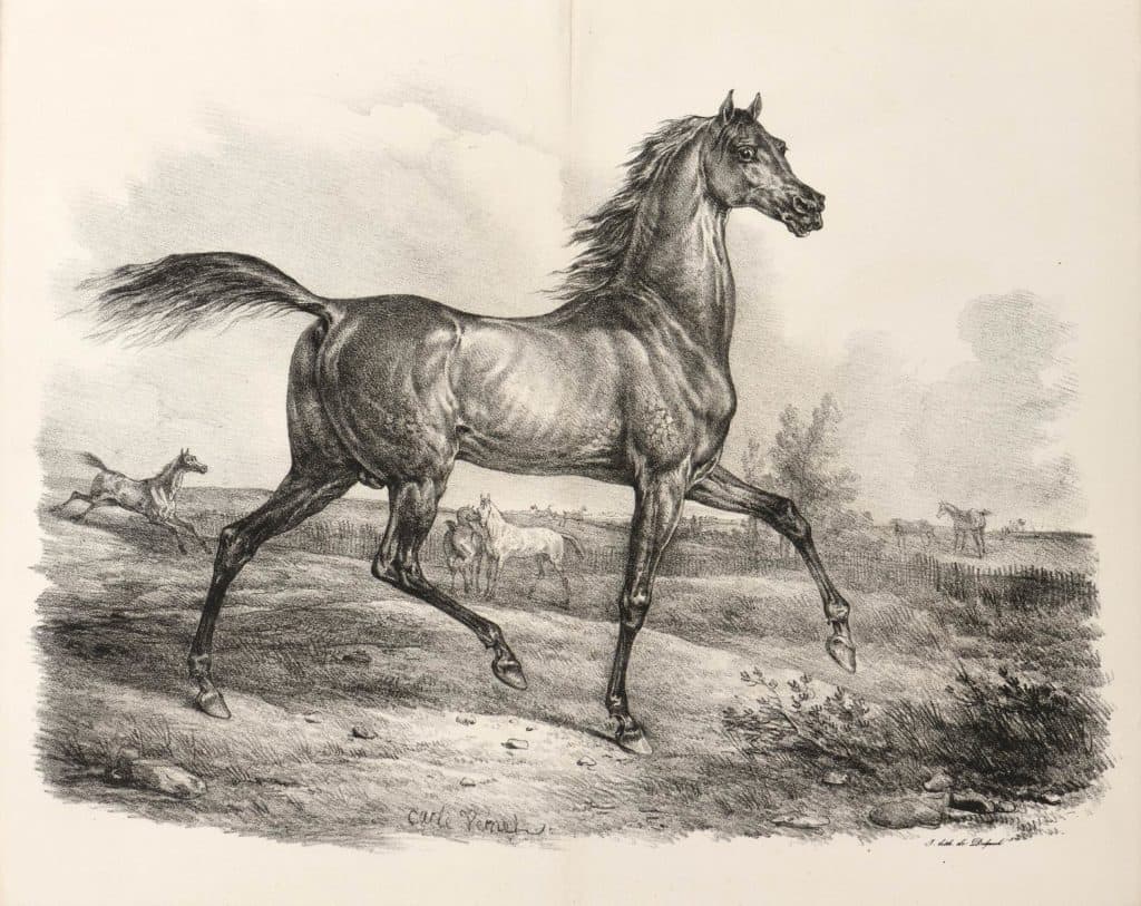 Vernet (Carle) – Cheval persan