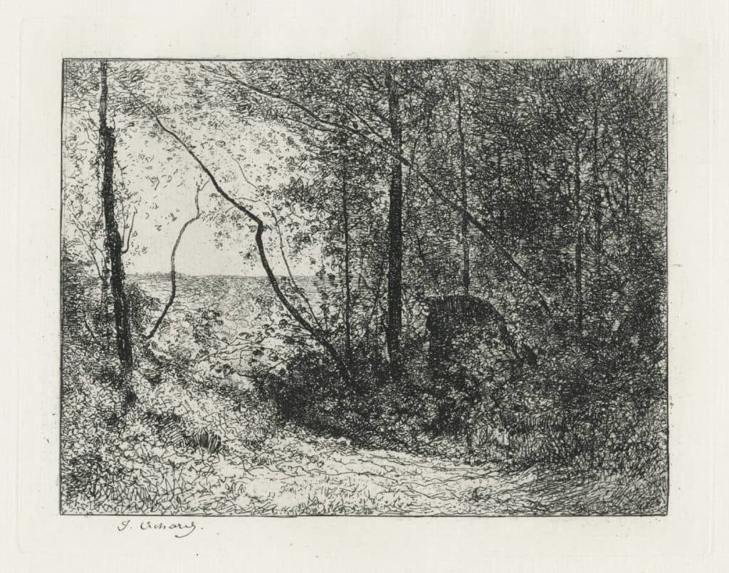 Achard – Lisière de bois à la roche noire