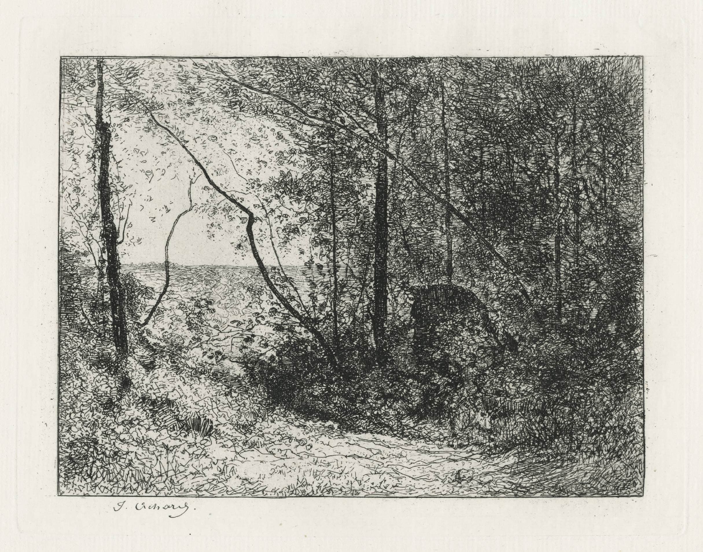 Wood border in black rock