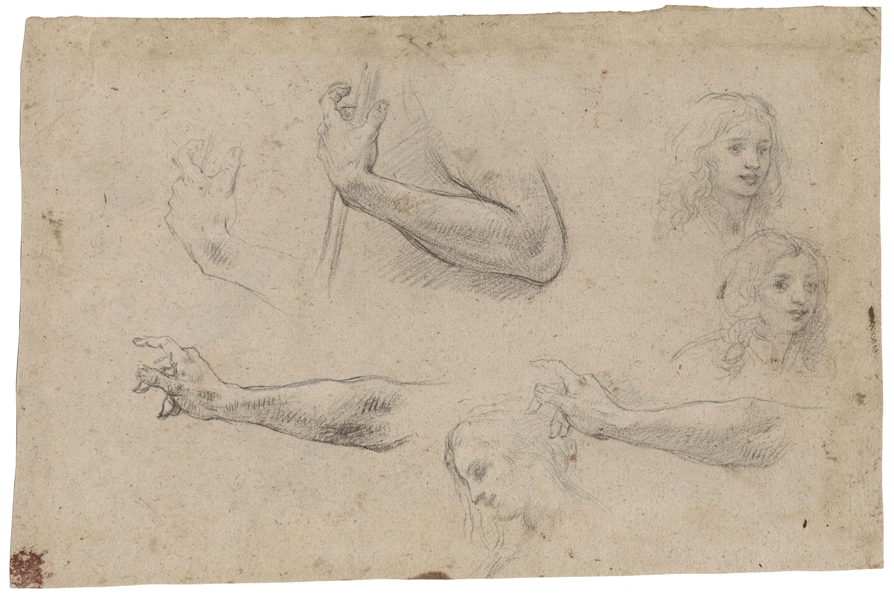 Études d’une main tenant un bâton, deux études du visage d’un jeune homme et d’une femme de profil