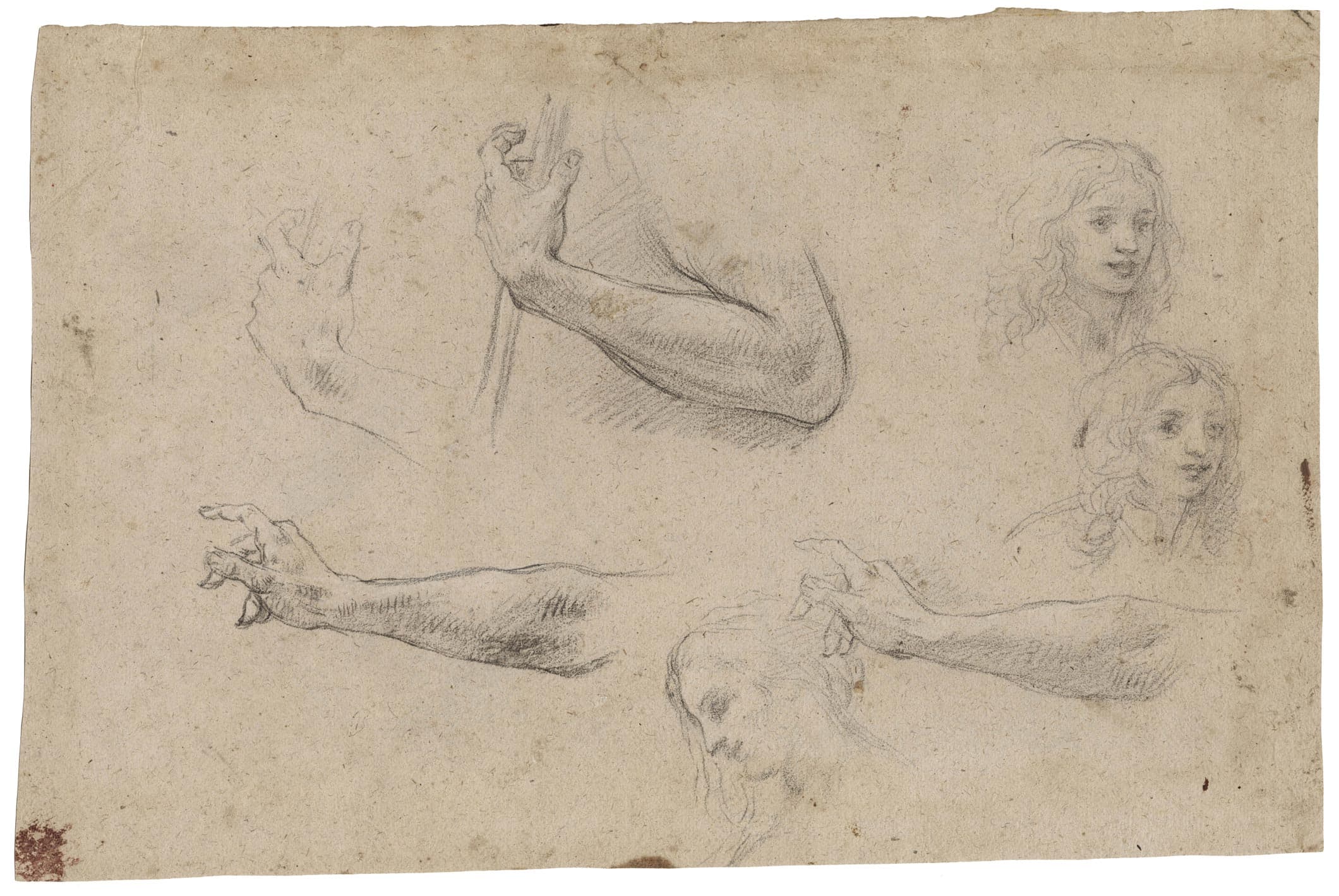 Études d’une main tenant un bâton, deux études du visage d’un jeune homme et d’une femme de profil