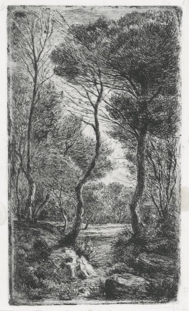 Borel – Le chemin de la clairière