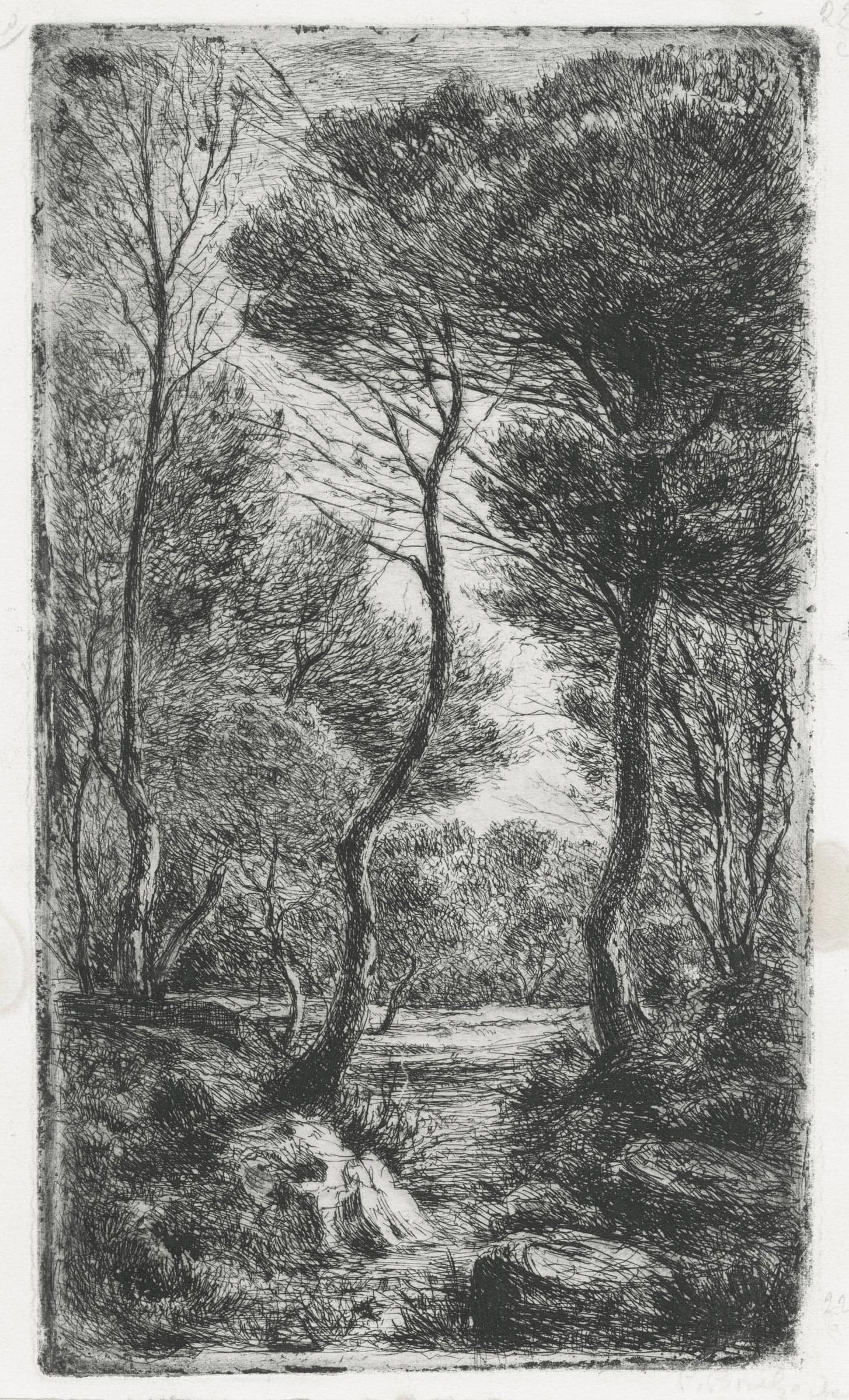 Le chemin de la clairière