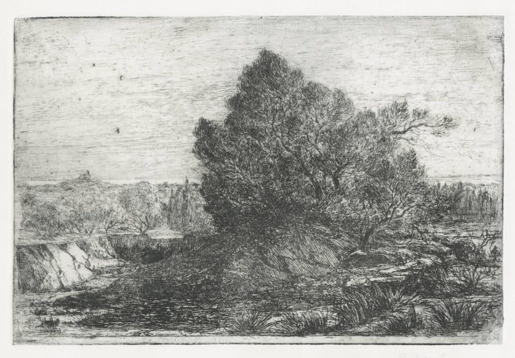 Borel – Vue prise dans la campagne de Sanary