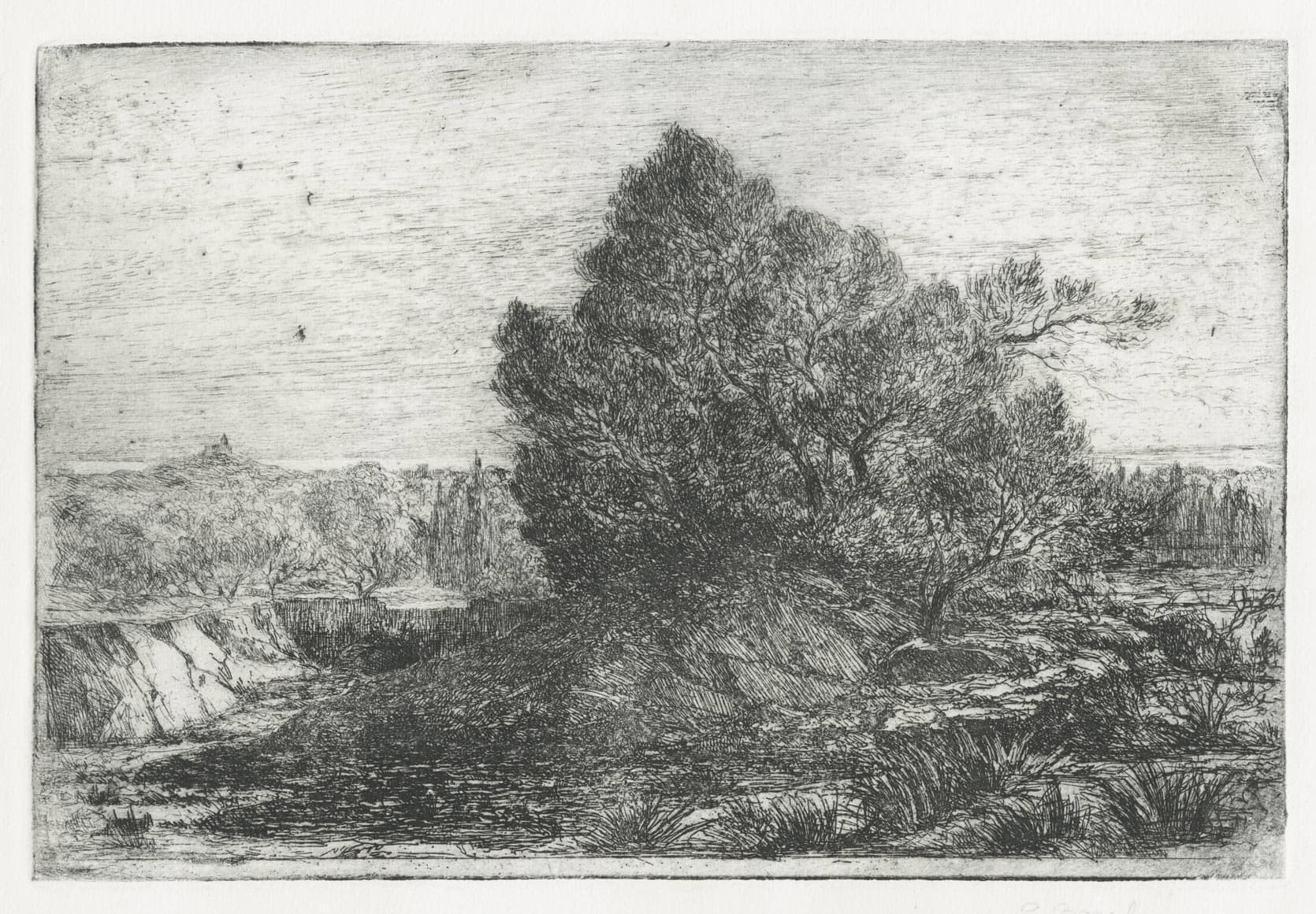 Vue prise dans la campagne de Sanary