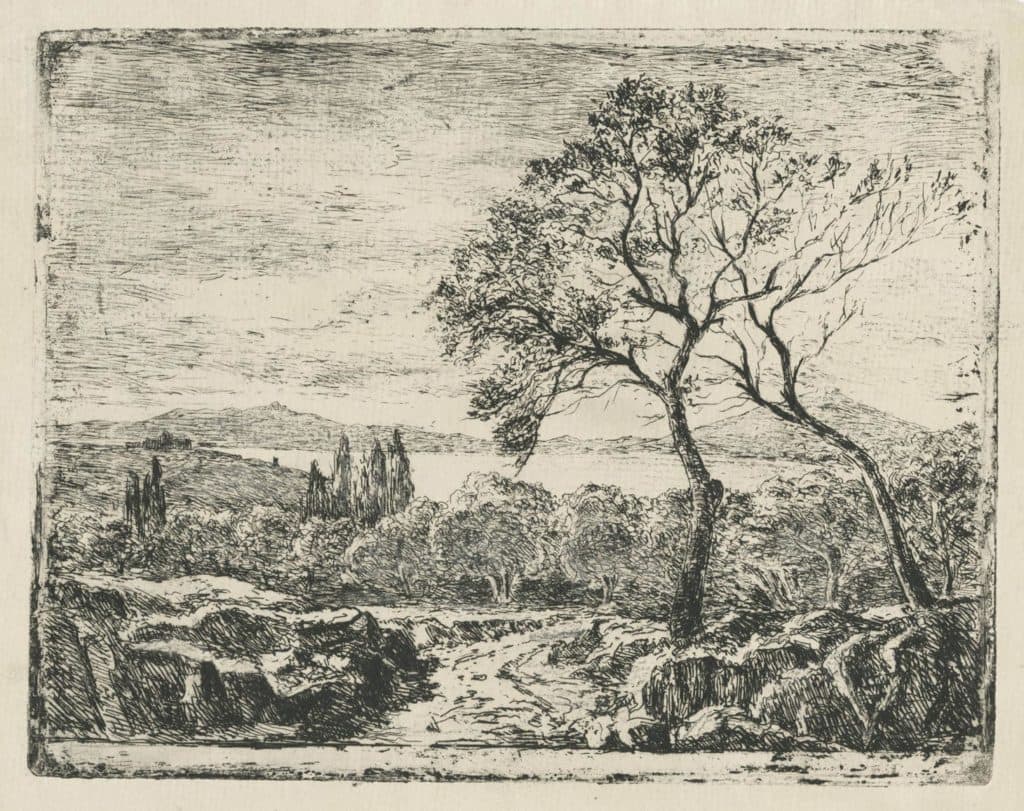 Borel – Vue plongeante sur les ifs et les pins parasols