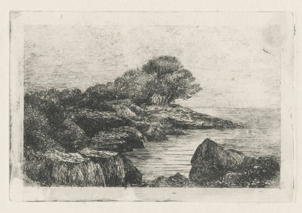 Borel – Presqu’île aux pins parasols