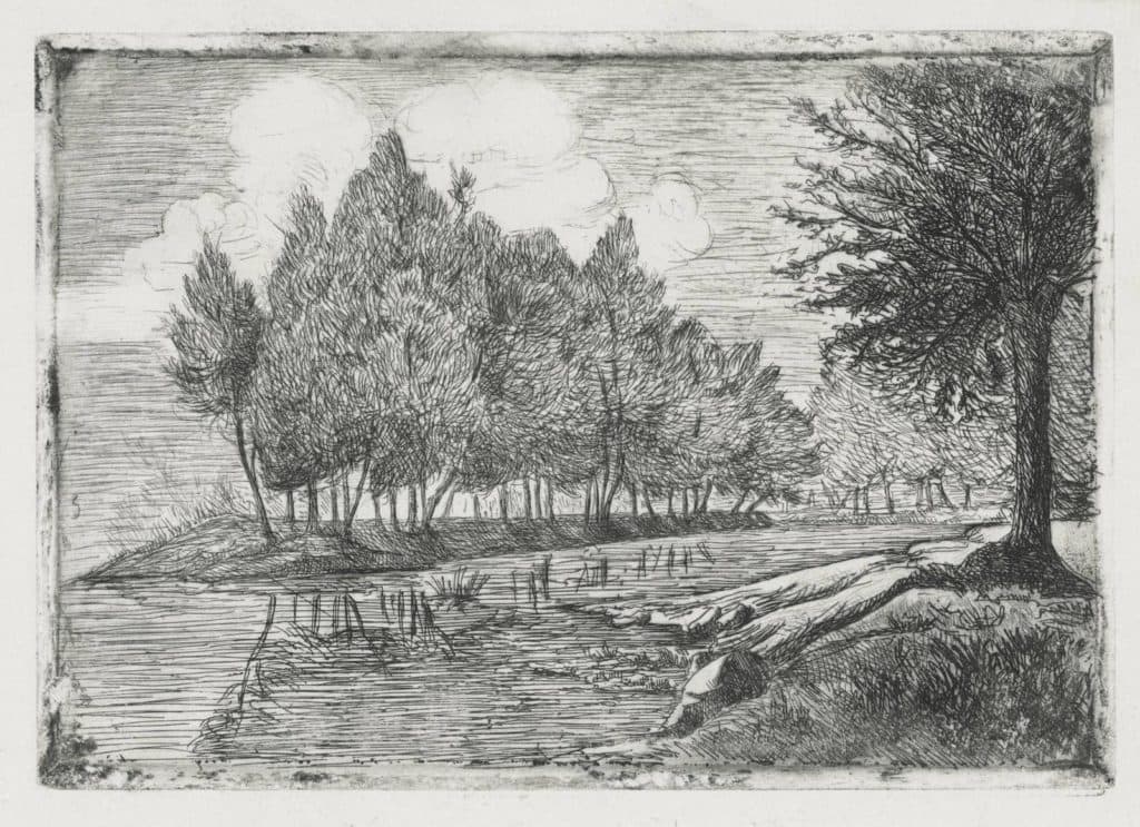 Borel – Lônes sur le Rhône