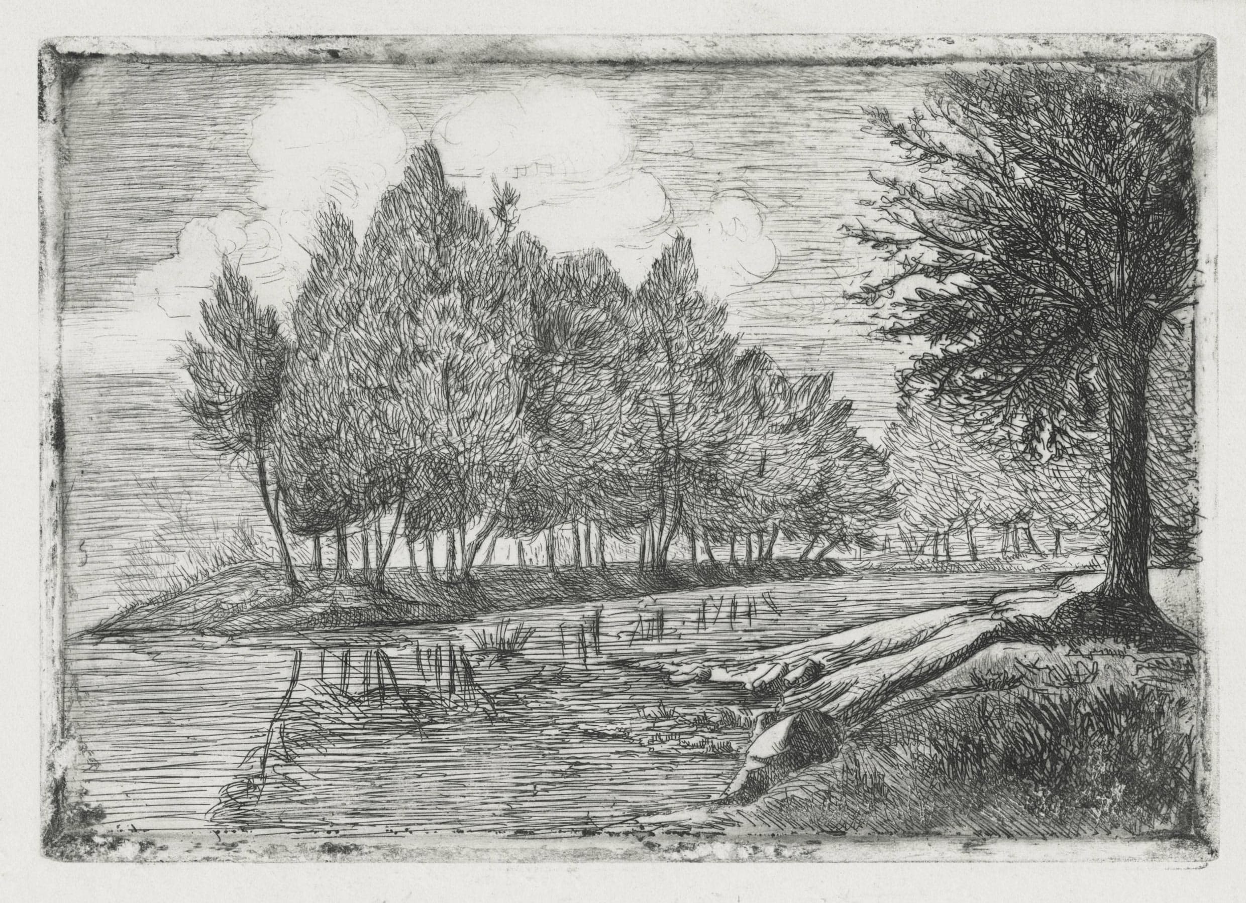 Lônes on the Rhône