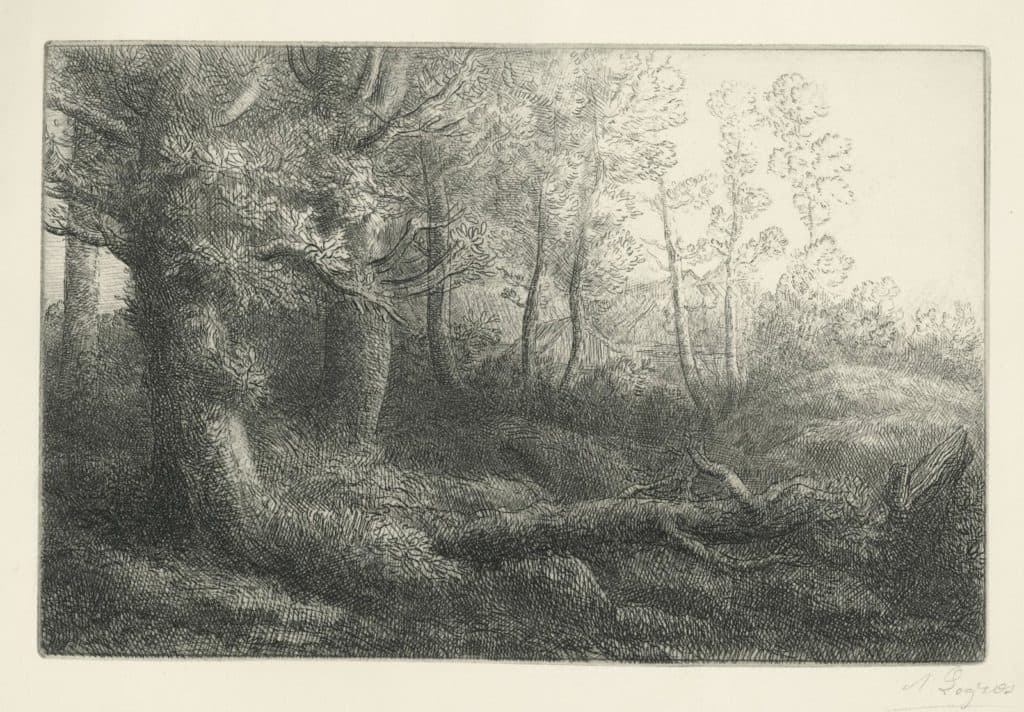 Legros – Lisière de forêt