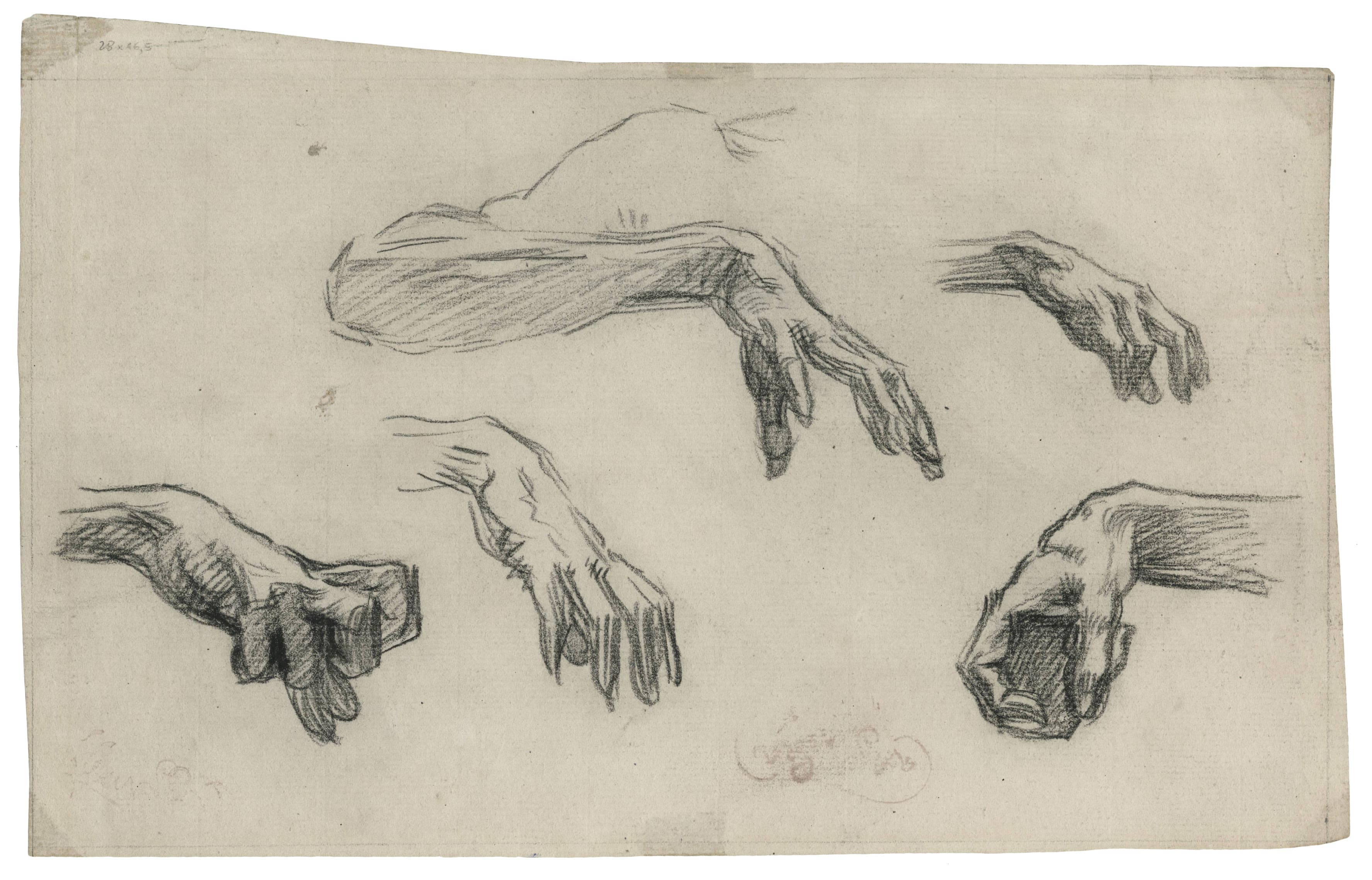 Studies of hands and arms