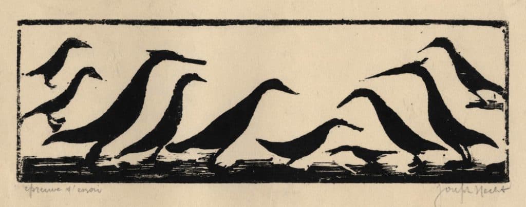 Hecht – Oiseau de Madagascar I