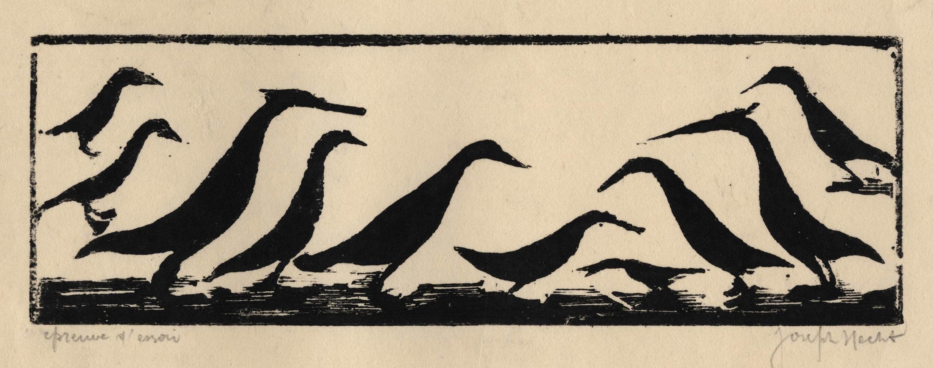 Birds of Madagascar I