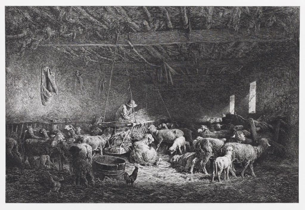 Jacque – La bergerie