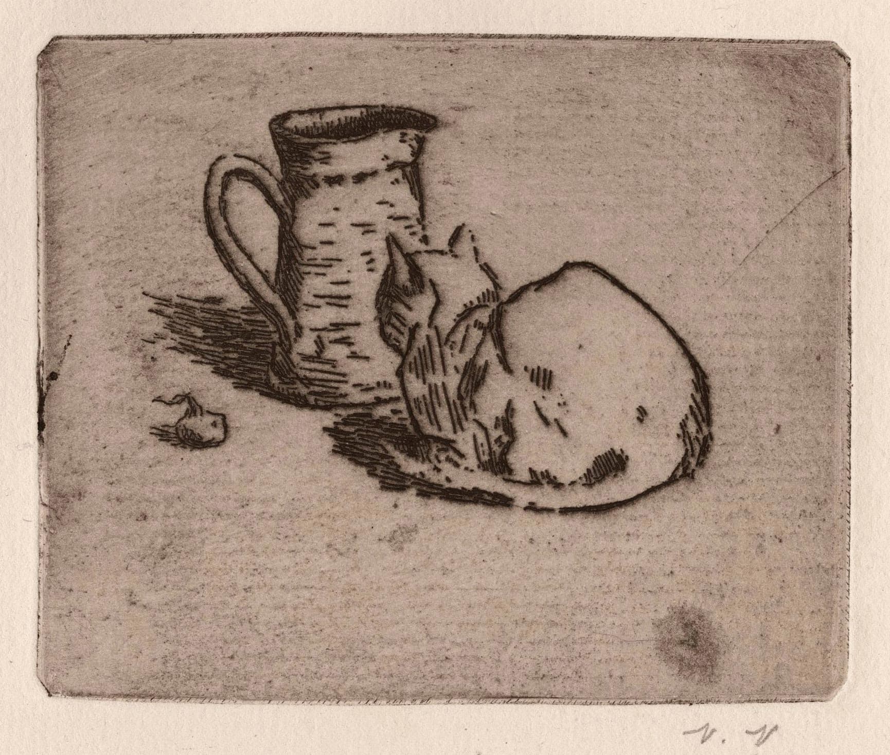 A seated cat in front of a carafe