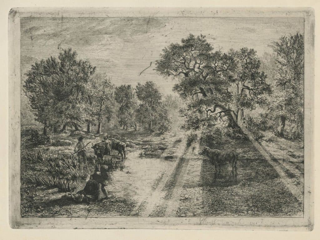 Saint-Marcel – Les boeufs traversant la mare de Belle-Croix, effet de soleil à travers les arbres