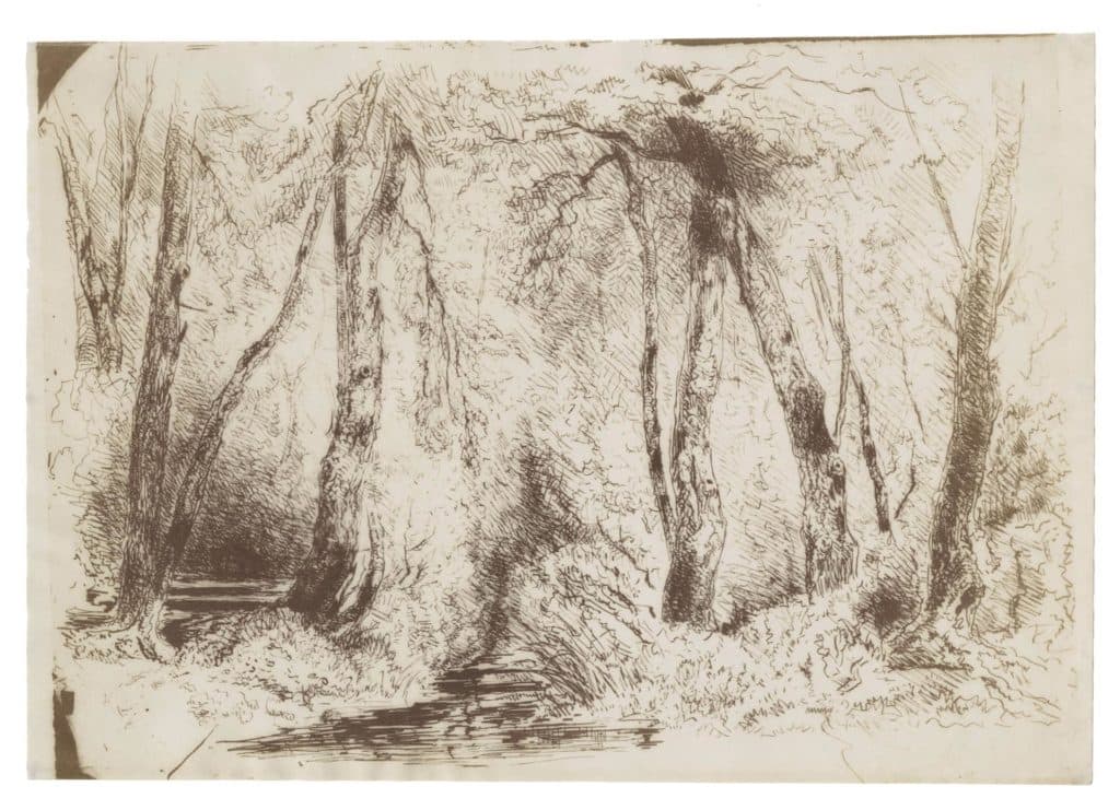 Huet – Ruisseau sous-bois ou intérieur de forêt