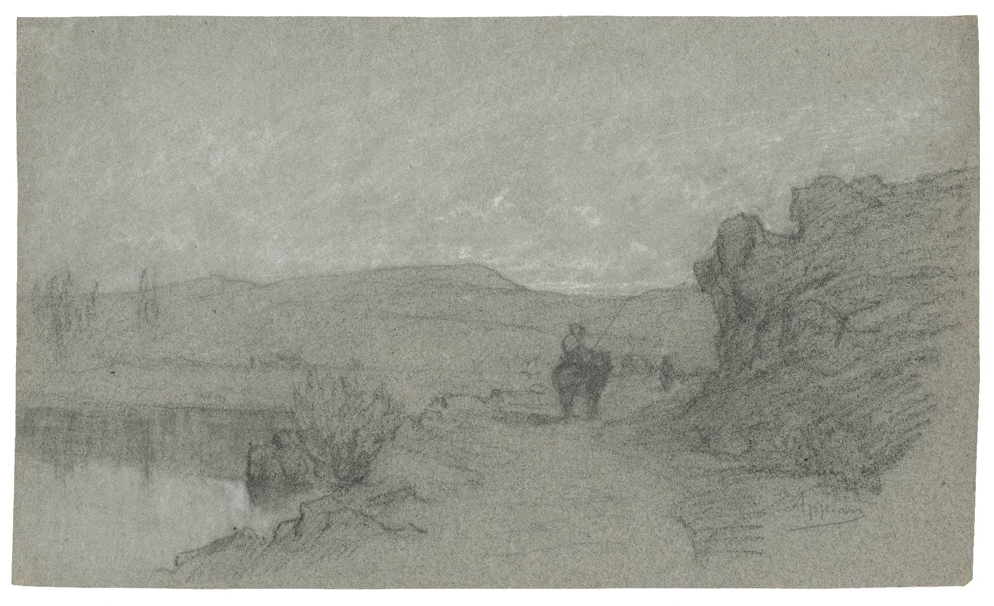 Donkey walking along a pond