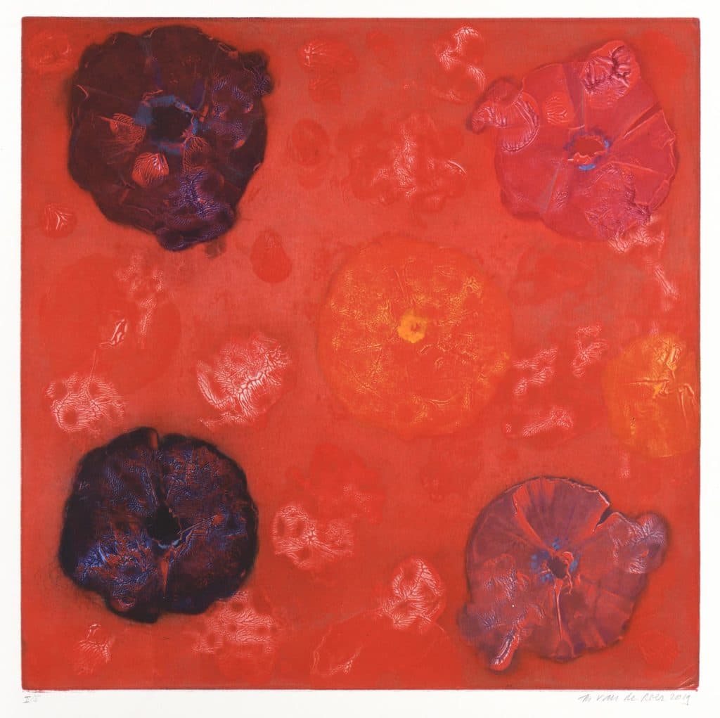 Roer – Sans titre (composition en rouge)