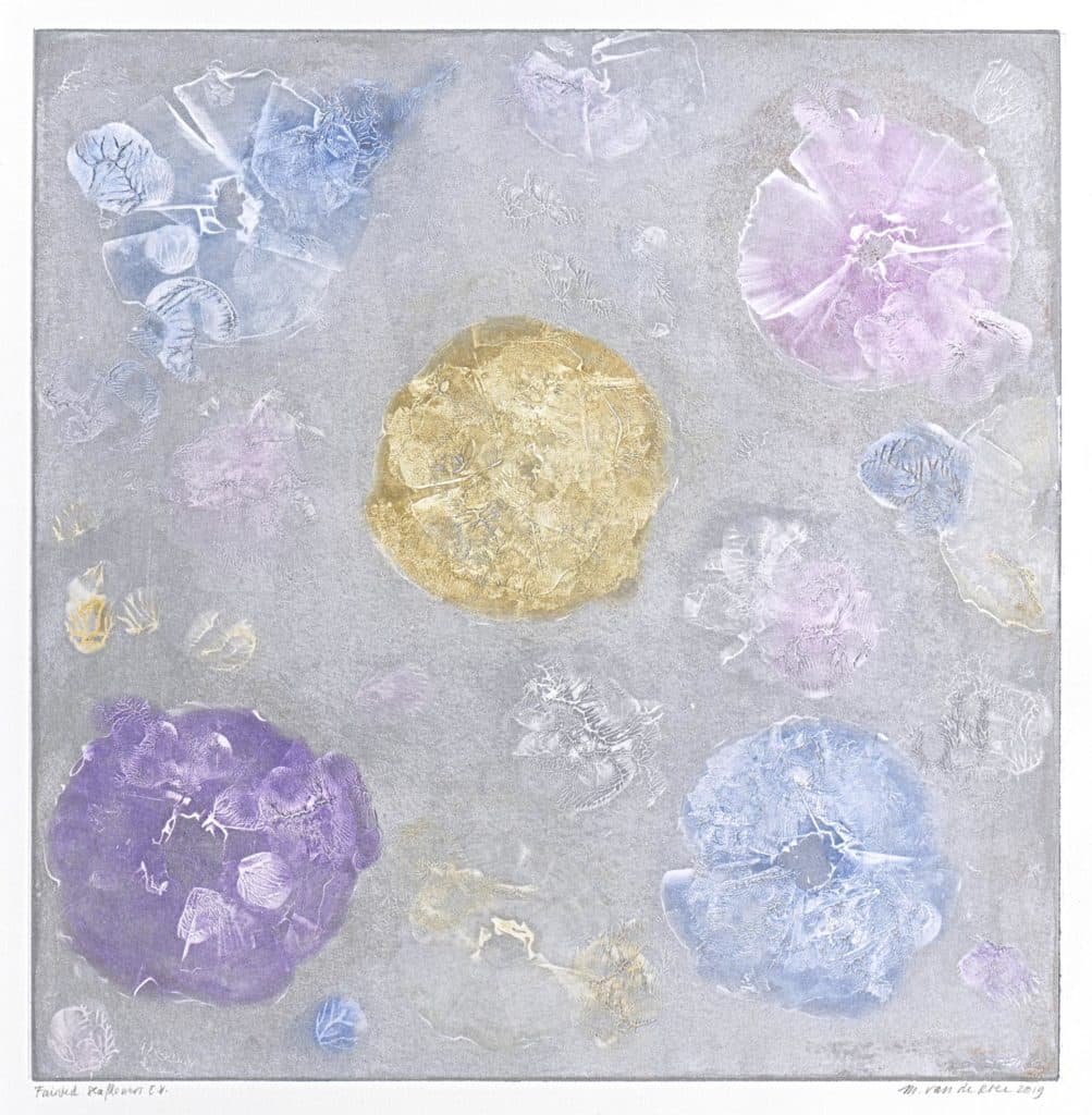 Roer – Fainted seaflowers