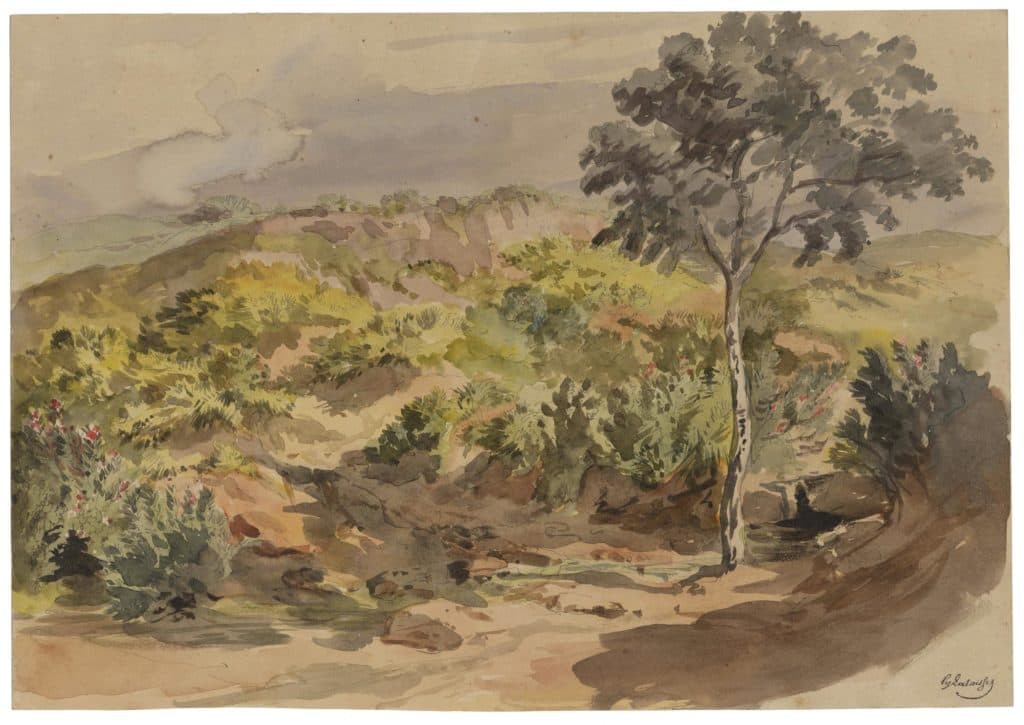 Lalaisse – Paysage luxuriant avec un arbre au premier plan