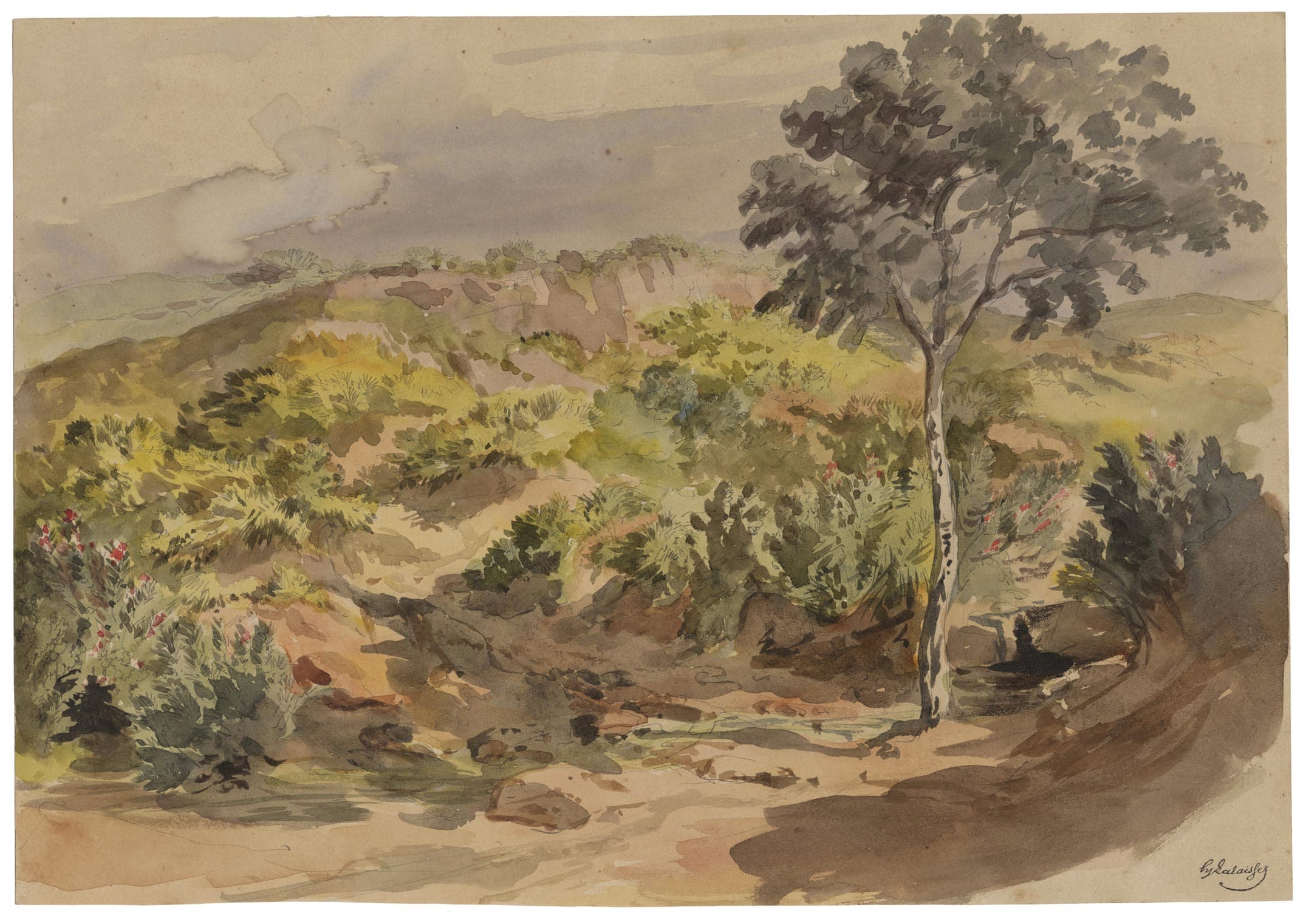 Lush Landscape with a Tree in the Foreground