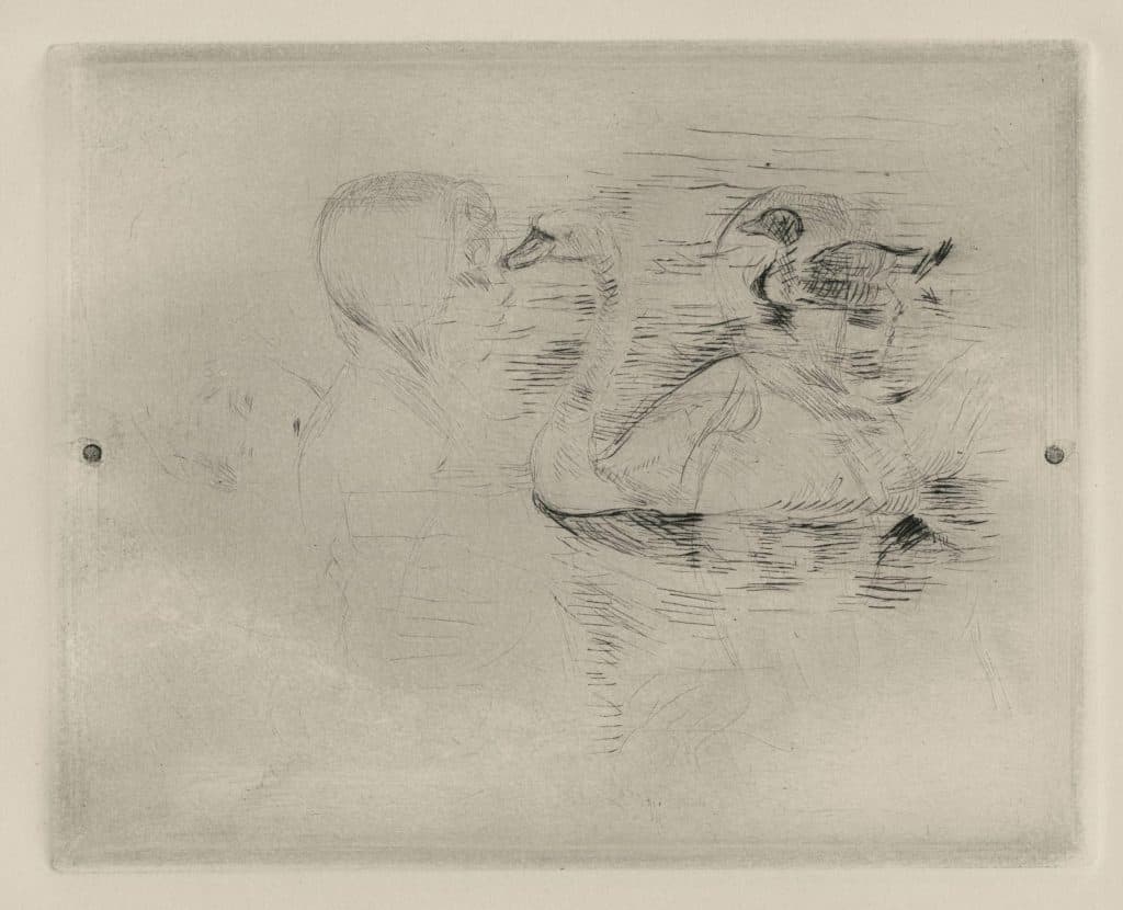 Morisot – Cygne et canard