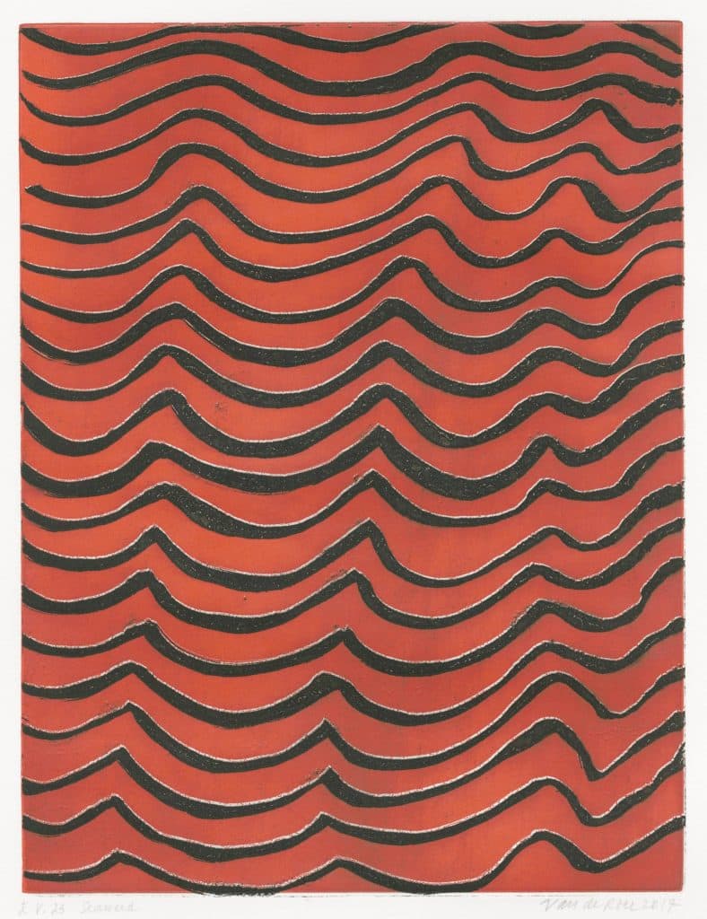 Van de Roer – Seaweed