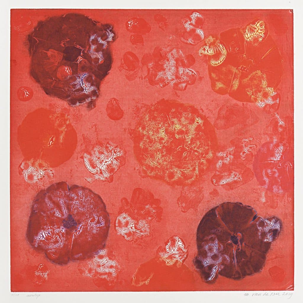 Van de Roer – Sans titre (composition en rouge)