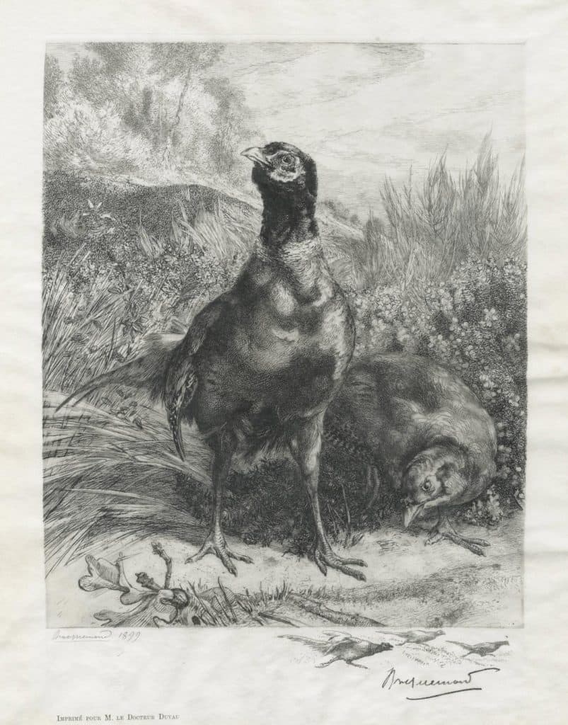 Bracquemond – Couple de faisans