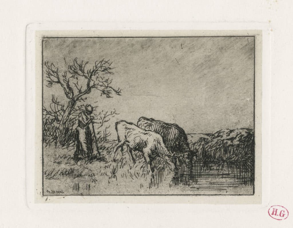 Jacque – Femme gardant deux vaches