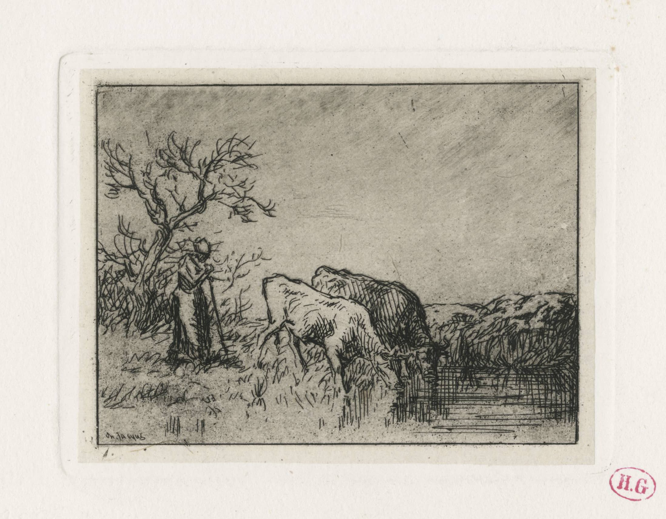 Femme gardant deux vaches