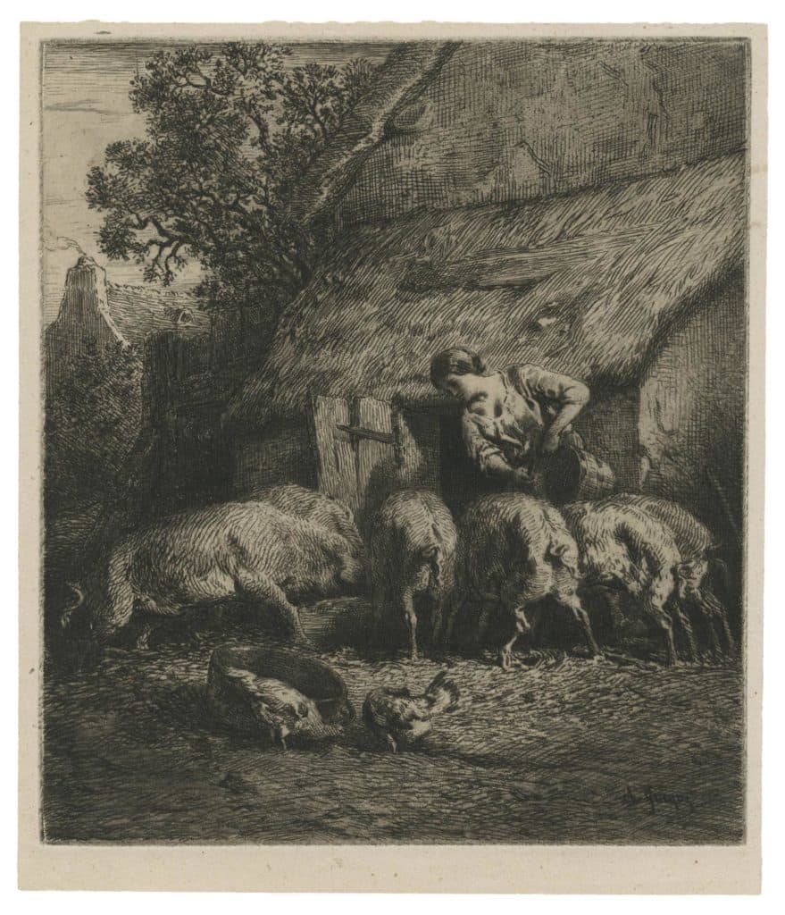 Jacque – Fermière donnant à manger à des porcs