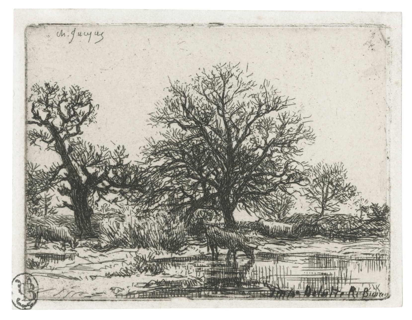 Arbres et vaches près d’une mare, paysage d’hiver
