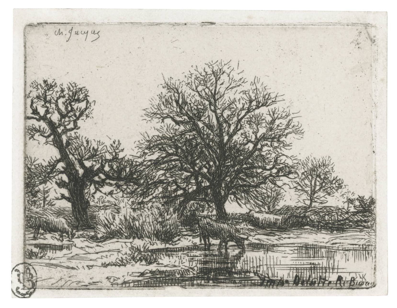 Trees and cows by a pond, winter landscape
