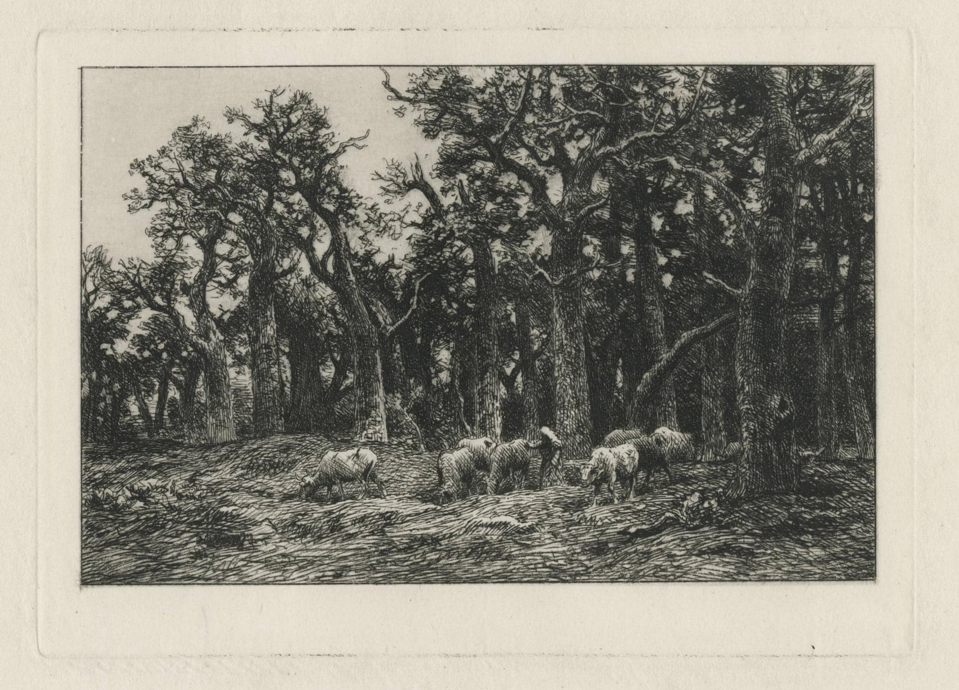 Forest border with cow-keeper