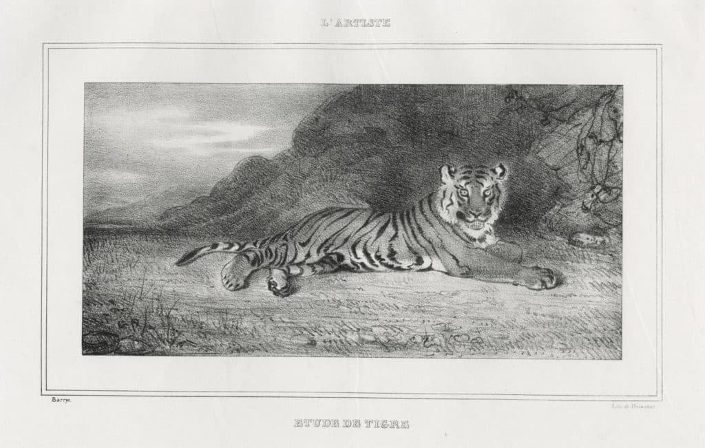 Barye – Étude de tigre