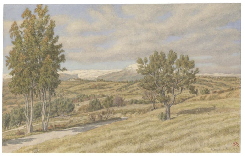 Rivière – Environ de Mougins