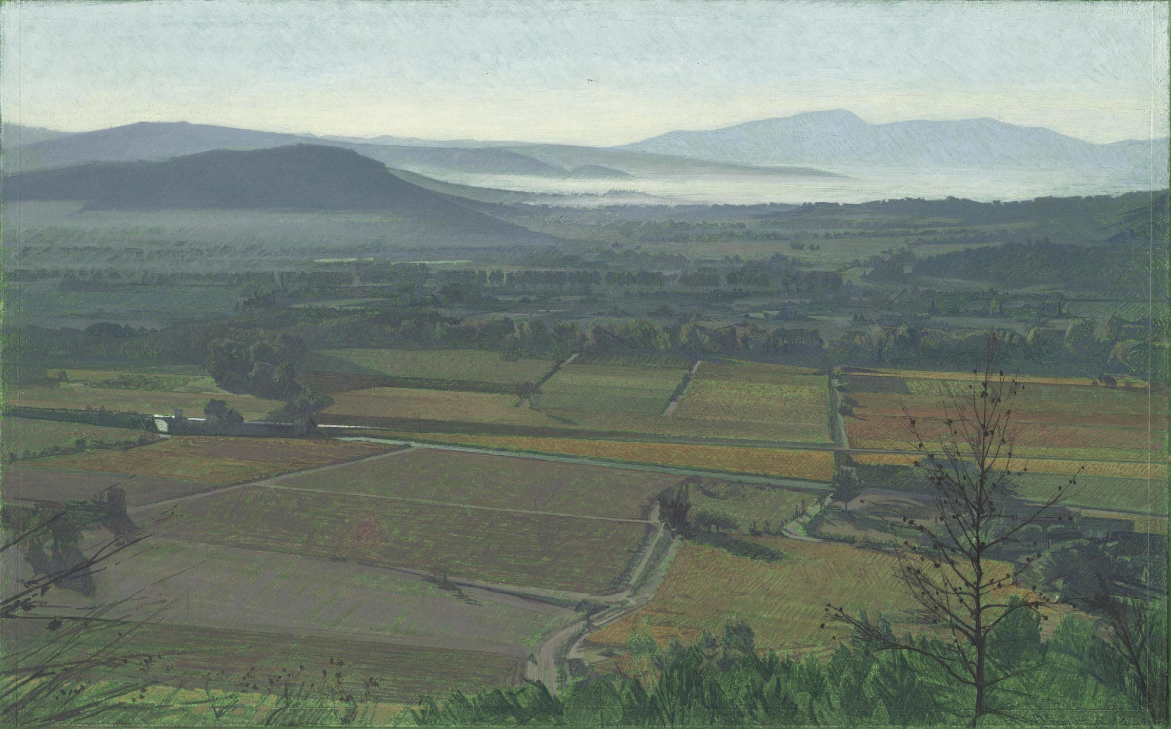Les Plainons, autumn morning, (Plain of the Maures at Taradeau in the Var)
