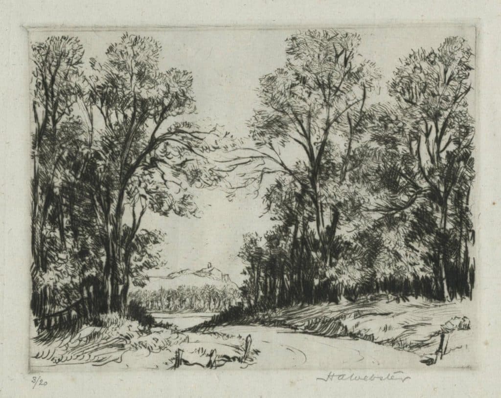 Webster – Arbres au Barrail