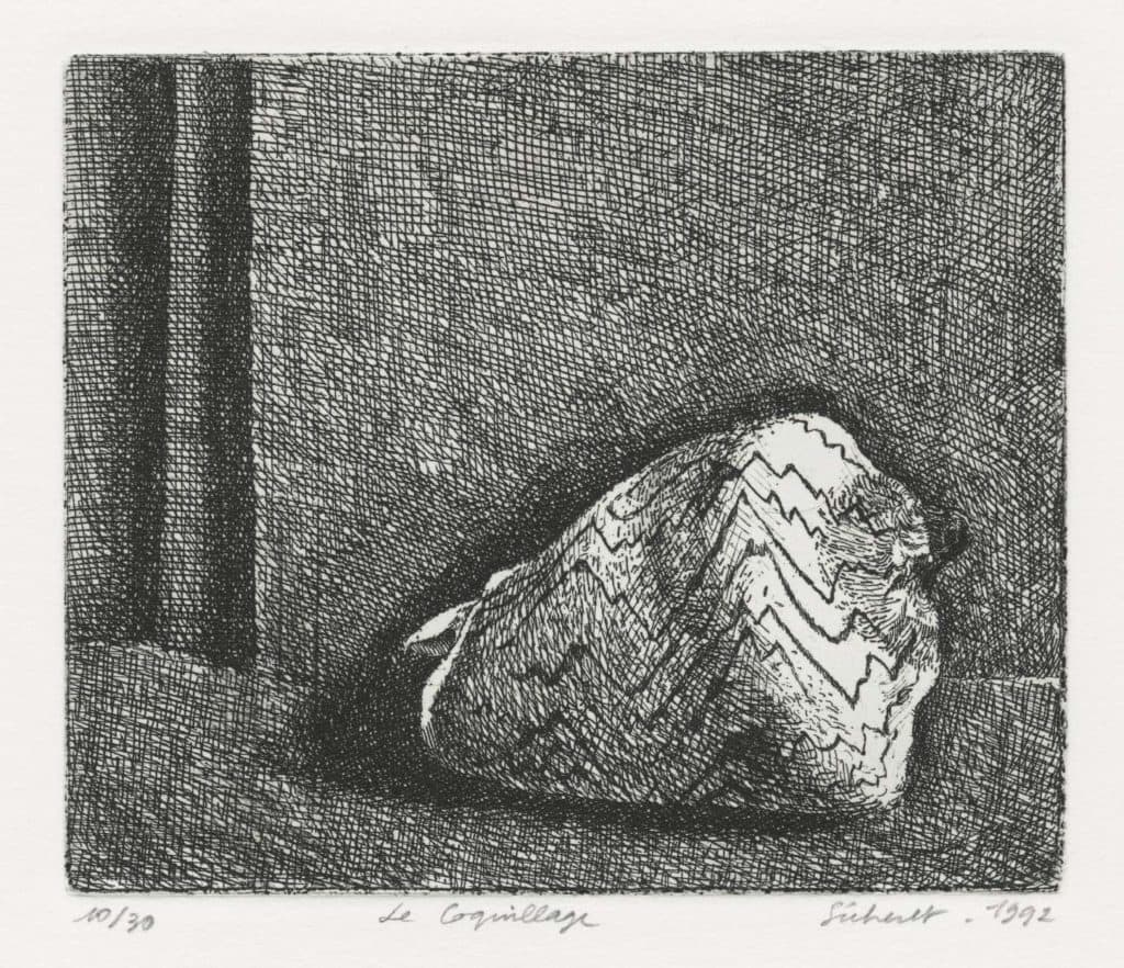 Sécheret – Le coquillage