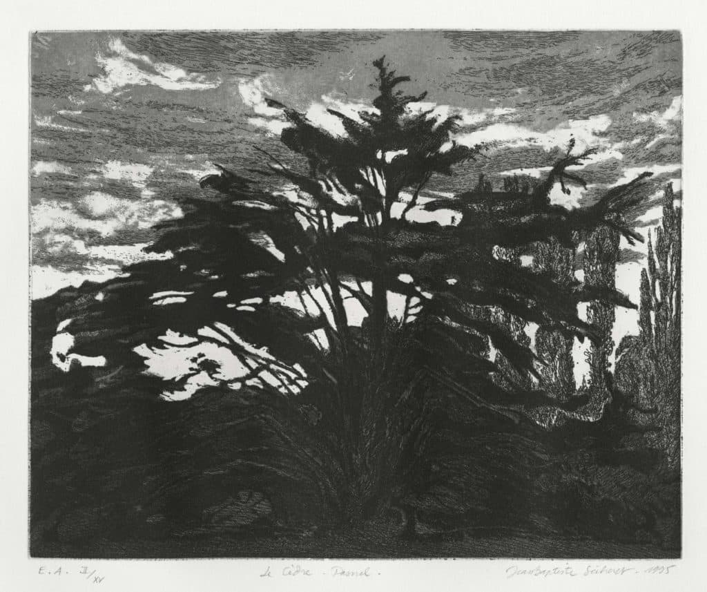 Sécheret – Le cèdre. Pasnel