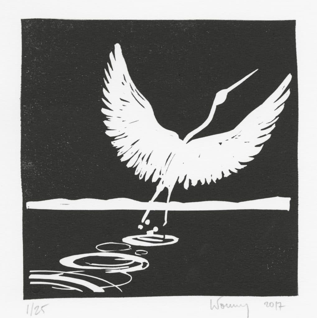 Letourmy – Aigrette